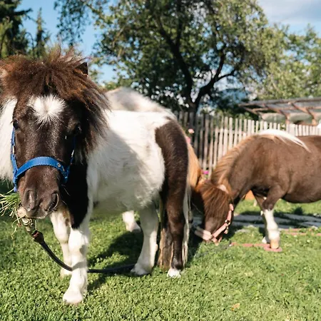 דירה Grubinger *