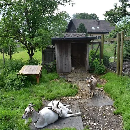 Grubinger Apartament