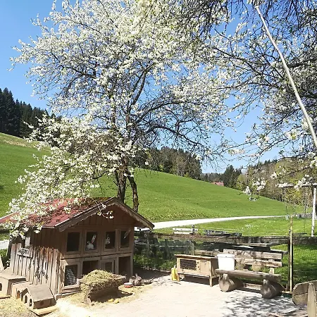 Apartament Grubinger *