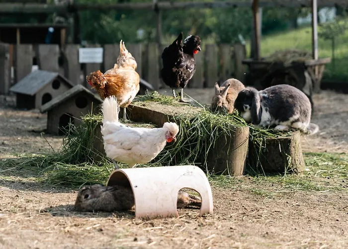 Grubinger * Unterach am Attersee