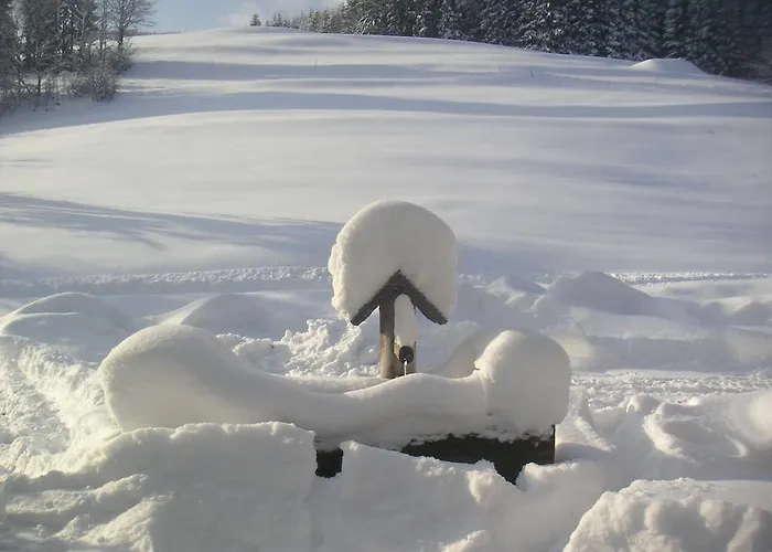 Grubinger Unterach am Attersee