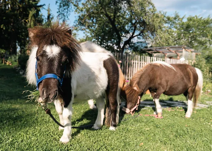 Apartamento Grubinger *