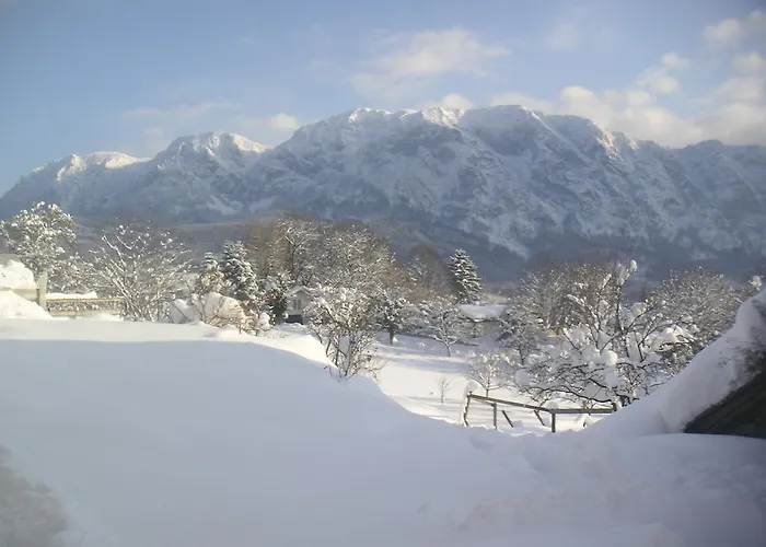 Apartamento Grubinger Unterach am Attersee