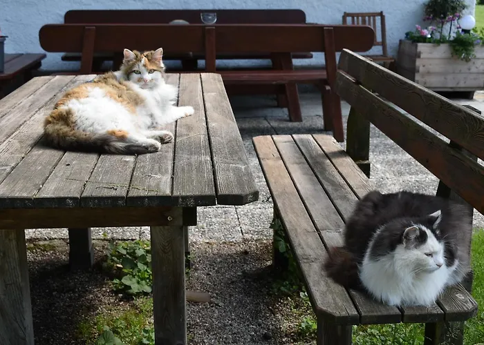 Apartamento Grubinger