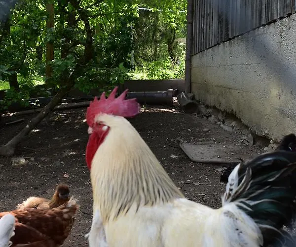 Grubinger Apartamento Unterach am Attersee